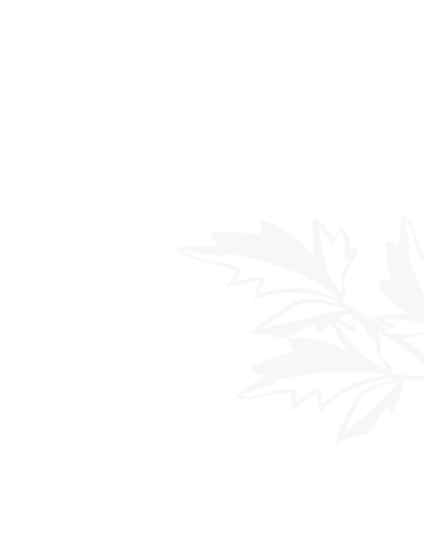 九游体育官方网站-JIUYOU SPORTS平台入口